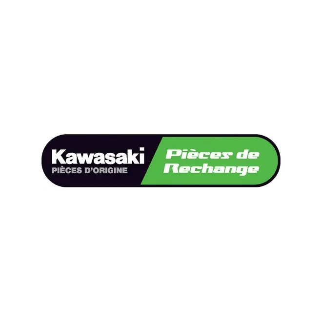 Maitre cylindre de frein arrière Kawasaki 430150602 | Moto Shop 35